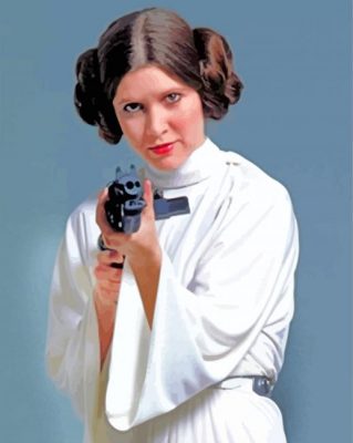 Princess Leia Organa paint by numbers