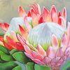 Pink Proteas Plants paint by numbers