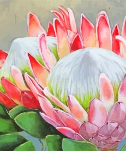 Pink Proteas Plants paint by numbers