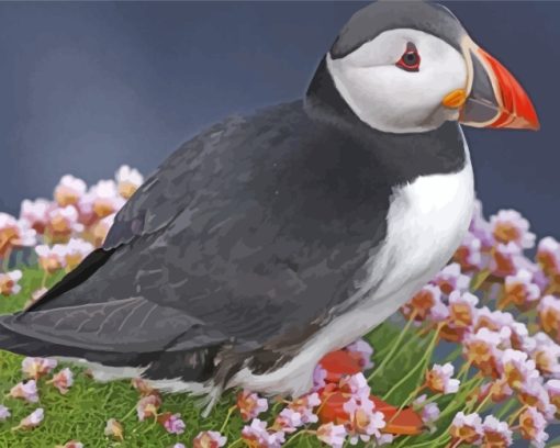 Aesthetic Puffin Bird paint by numbers