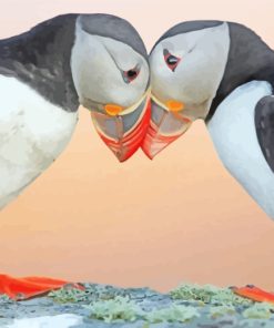 Puffin Birds Lovers paint by numbers