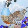 Quail Birds Art paint by numbers