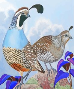 Quail Birds Art paint by numbers