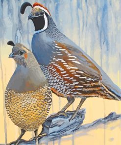 Aesthetic Quail Birds paint by numbers