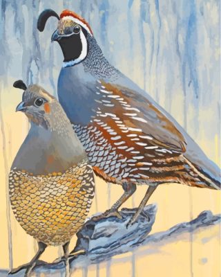 Aesthetic Quail Birds paint by numbers