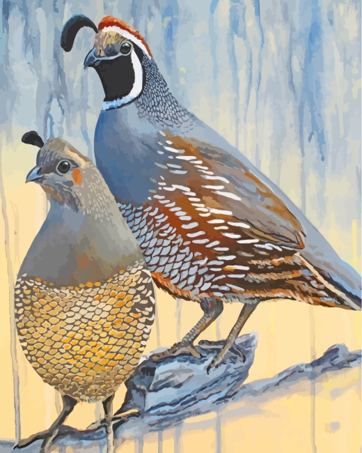 Aesthetic Quail Birds paint by numbers