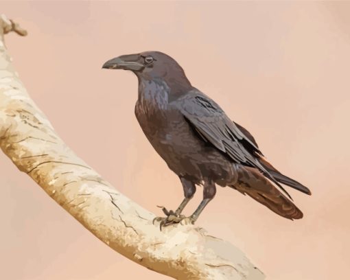 Black Raven On Branch paint by numbers