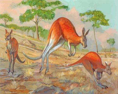 Aesthetic Kangaroo Art paint by numbers