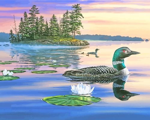 Sunset Loon Bird paint by numbers