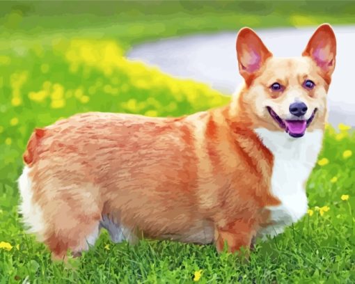 Welsh Corgi Puppy paint by numbers