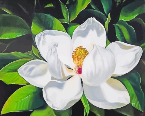 White Magnolia Art paint by numbers