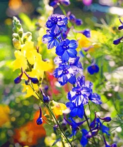 Beautiful Larkspur Flowers paint by numbers