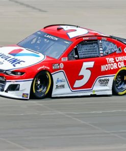 Red and White Nascar paint by numbers