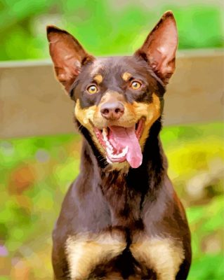 Cute Kelpie Dog paint by numbers