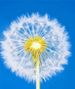 Dandelion Plant paint by numbers