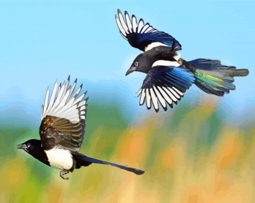 Flying Magpies Birds paint by numbers