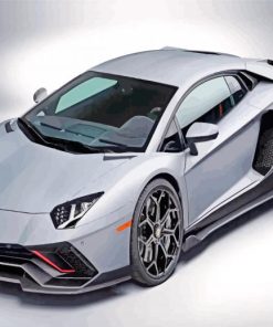 Grey Lamborghini Car paint by numbers