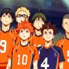 Haikyuu Karasuno High Team paint by numbers