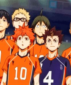 Haikyuu Karasuno High Team paint by numbers