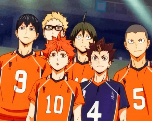 Haikyuu Karasuno High Team paint by numbers