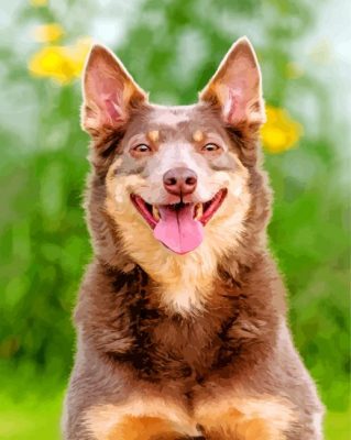 Happy Kelpie Dog paint by numbers