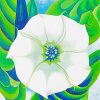 Jimson Weed Georgia O'Keeffe paint by numbers