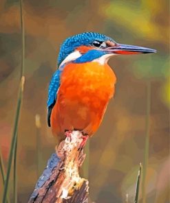 Aesthetic Kingfisher Bird paint by numbers