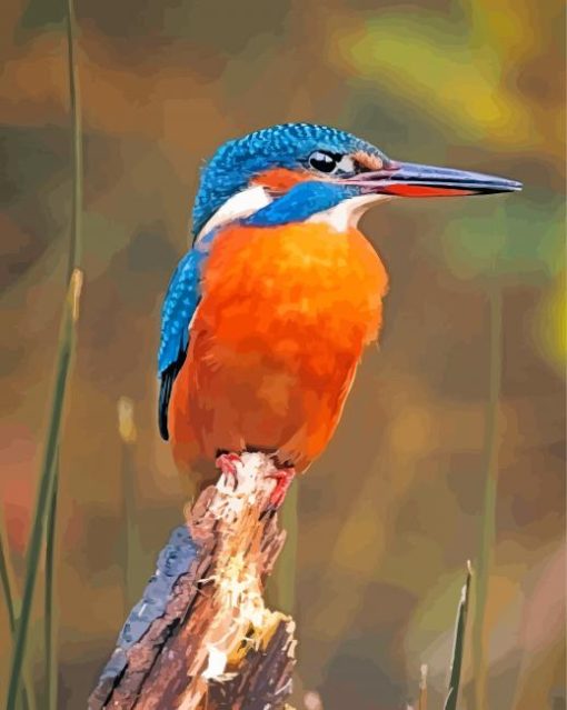 Aesthetic Kingfisher Bird paint by numbers