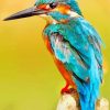 Beautiful Bird Kingfisher paint by numbers