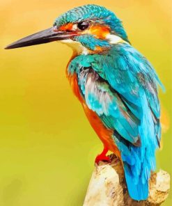 Beautiful Bird Kingfisher paint by numbers