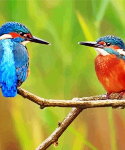 Kingfishers On Branch paint by numbers