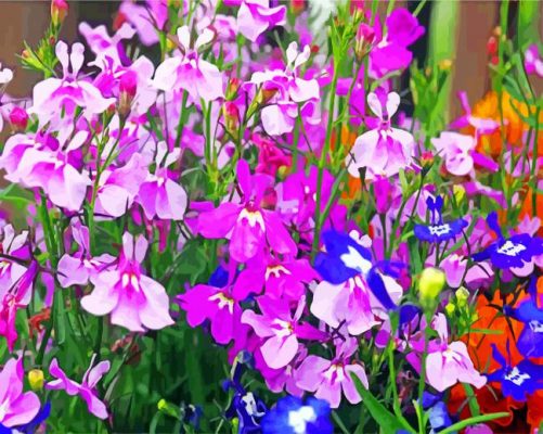 Aesthetic Lobelia Flowers paint by numbers