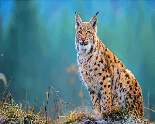 Animal Lynx paint by numbers