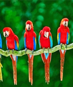 Aesthetic Macaw Birds paint by numbers