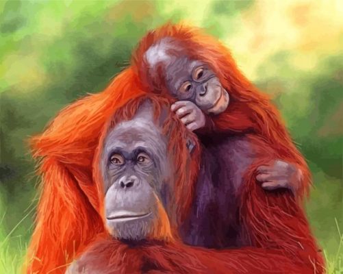 Orangutans Mothers And Son paint by numbers
