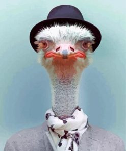 Ostrich With Top Hat paint by numbers