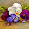 Pansies Flowers Art paint by numbers