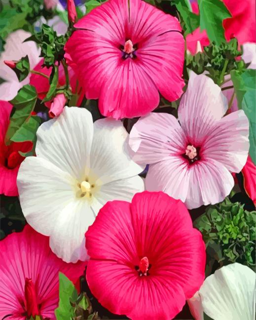 Pink and White Mauve paint by numbers
