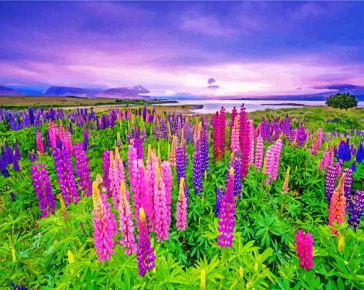 Purple And Pink Lupins Plants paint by numbers