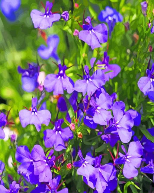 Purple Lobelia Flowers paint by numbers