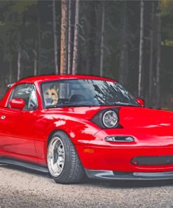 Red Miata Car paint by numbers