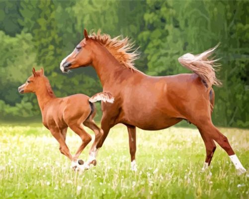 Running Mares Horses paint by numbers