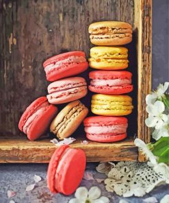 Delicious Macaroons paint by numbers