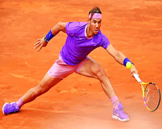 The International Tennis Player paint by numbers