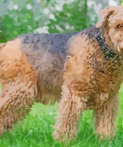 Cute Airedale Dog paint by numbers