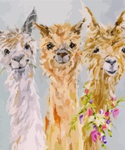 Alpacas Animal Art paint by numbers