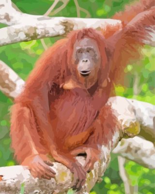 Ape Monkey On Branch paint by numbers