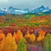 Autumn Aspen Colorado paint by numbers