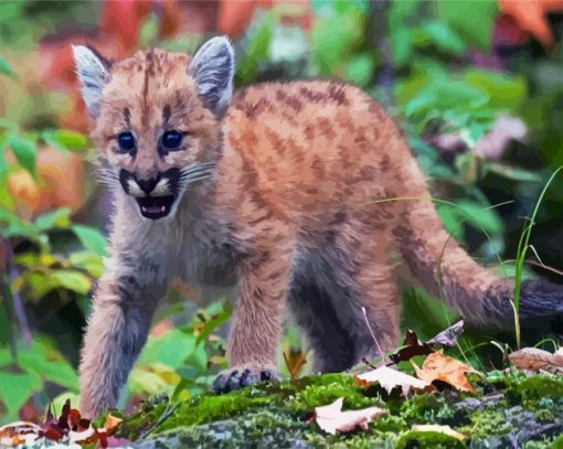 Cute Baby Cougar paint by numbers