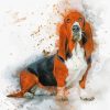 Basset Dog Art paint by numbers